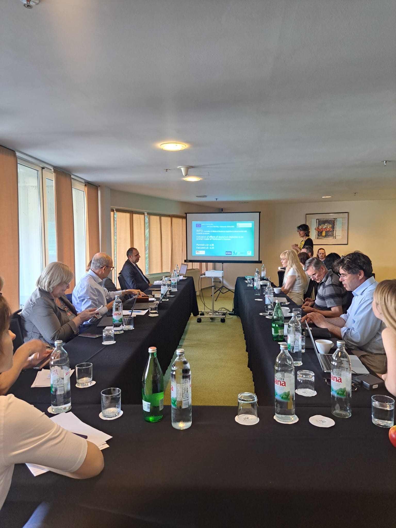 Mid-term Meeting of the Aqua Synapse project